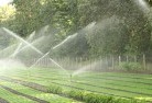 Dingeelandscaping-water-management-and-drainage-17.jpg; ?>